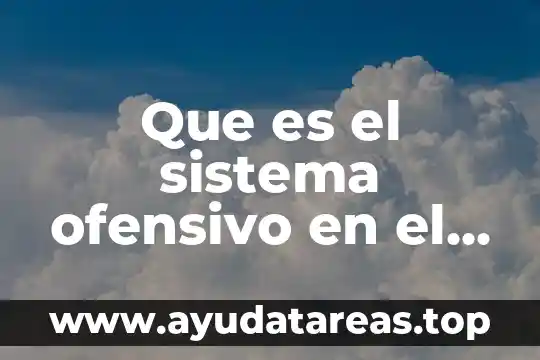 Que es pie sistema decimal significado y concepto 4 Que es el sistema ofensivo en el basquetbol