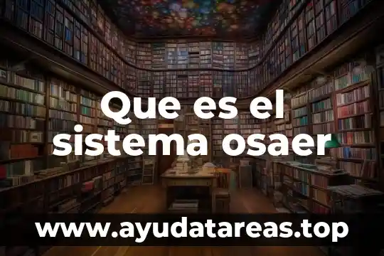 Que es el sistema osaer