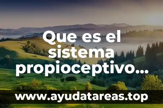 Que es el sistema propioceptivo en niños