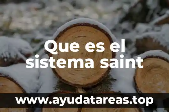 Qué es el sistema endocrino y cómo está compuesto 8 Que es el sistema saint