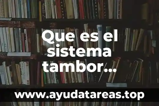 Que es el sistema tambor amortiguador cuerda scribd