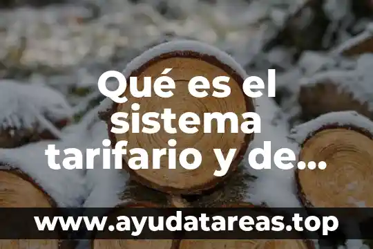 Que es el sistema automatizado aduanero 8 Qué es el sistema tarifario y de valor aduanero
