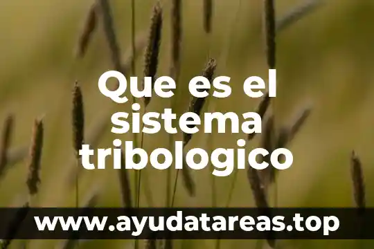 Qué es el significado de la palabra fósil 4 Que es el sistema tribologico