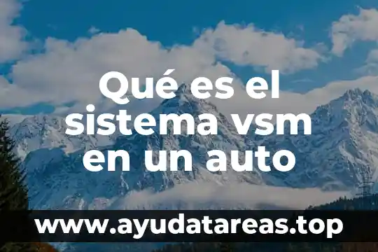 Qué es el sistema vsm en un auto