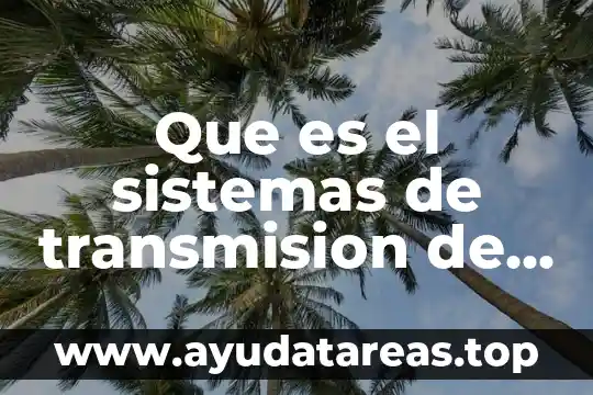Qué es movimiento vibractil y ameboide 7 Que es el sistemas de transmision de movimiento