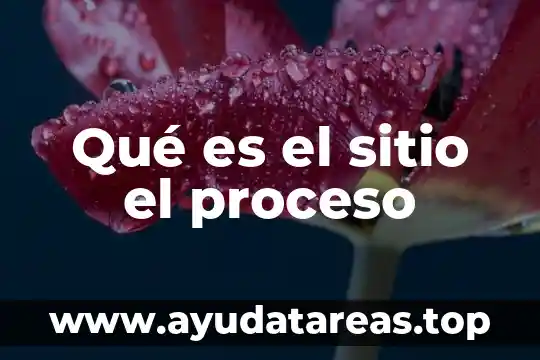 Que es el nombre del sitio web ejemplos 6 Qué es el sitio el proceso