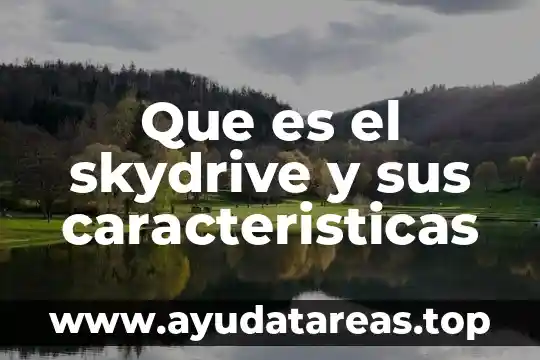 Que es conocimientos sus funciones tipos características 3 Que es el skydrive y sus caracteristicas