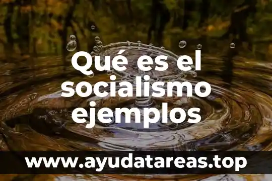 Qué es el socialismo ejemplos