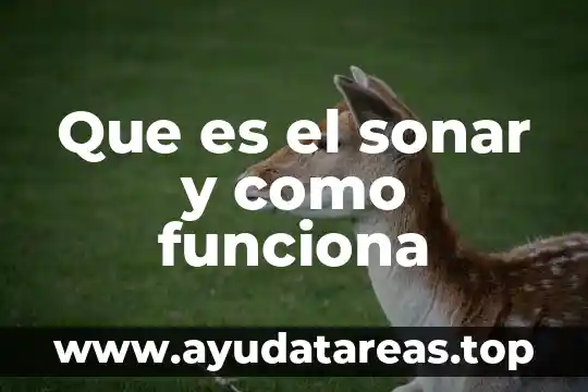 Que es una sinfonia termino que significa sonar juntos 8 Que es el sonar y como funciona