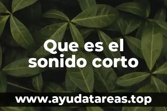 Que es movimiento sonido forma y color 5 Que es el sonido corto