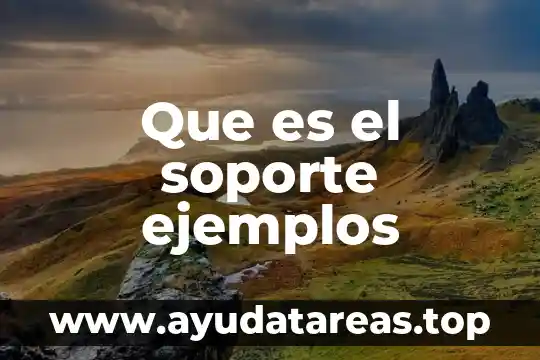Que es el soporte ejemplos