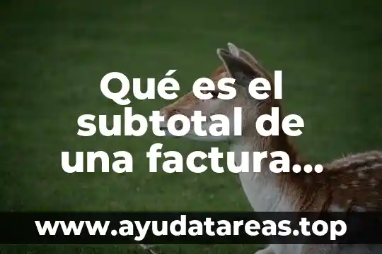 Que es conducta concepto pedagogico 5 Qué es el subtotal de una factura concepto