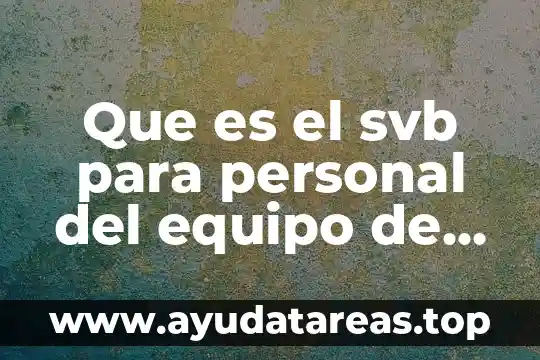 Que es el svb para personal del equipo de salud