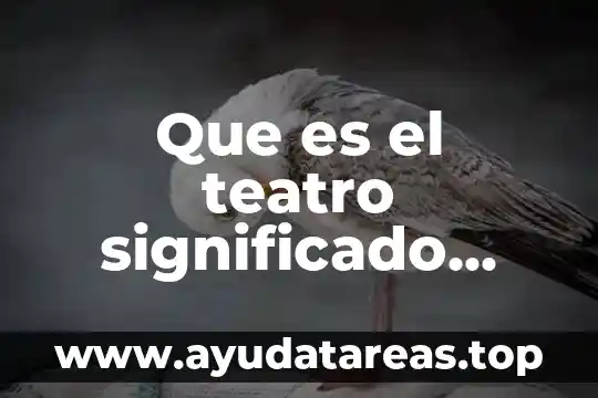 Que es ambiental en una obra de teatro 6 Que es el teatro significado filosofico