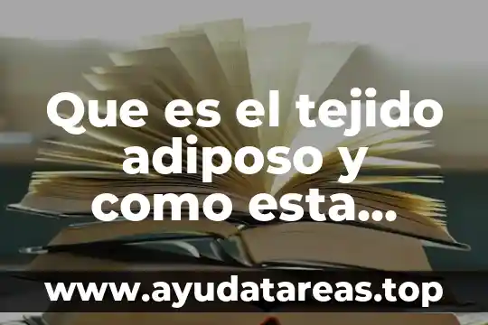 Que es un compuesto y porque esta formado 6 Que es el tejido adiposo y como esta formado quimicamente