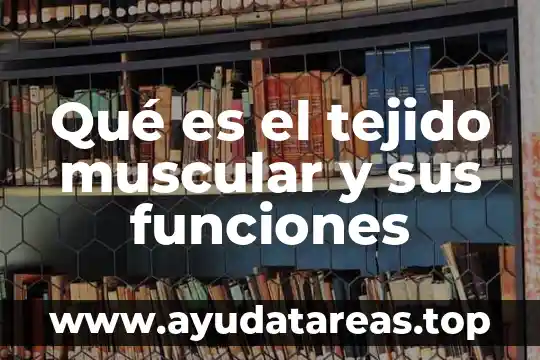 Qué es el tejido muscular y sus funciones