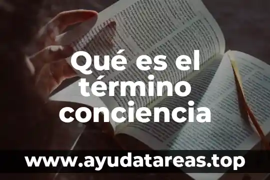 Qué es el término conciencia