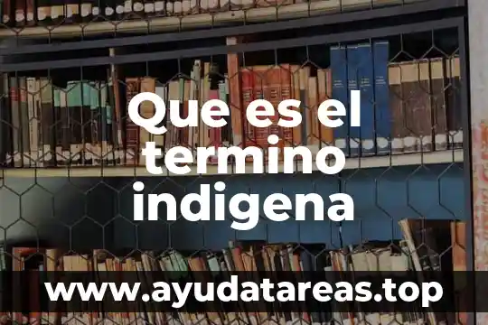 Que es el termino indigena
