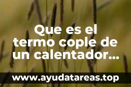 Que es el termo cople de un calentador de agua