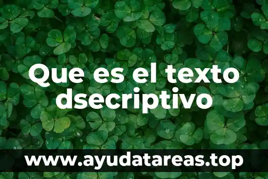 Que es el texto dsecriptivo