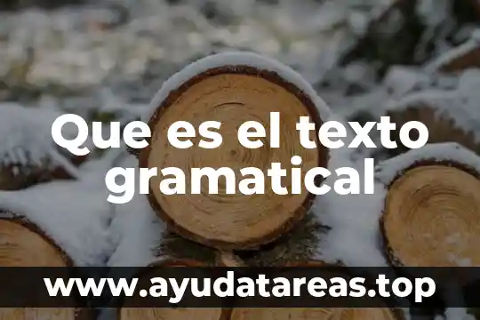 Qué es proposición gramatical y ejemplos 7 Que es el texto gramatical