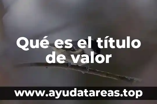 Que es un título sugestivo ejemplos 7 Qué es el título de valor