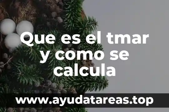 Que es el tmar y como se calcula