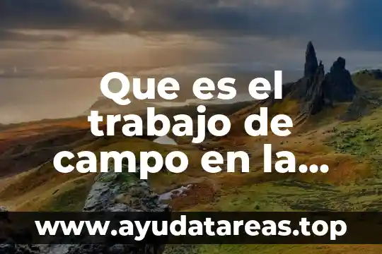 Qué es trabajo social ents 3 Que es el trabajo de campo en la arqueologia