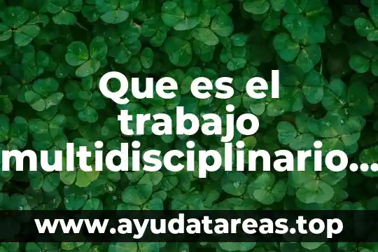 Que es el trabajo multidisciplinario del psicologo