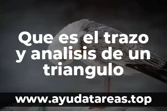 Que es el colesterol bajo en un analisis de sangre 8 Que es el trazo y analisis de un triangulo