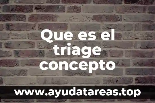 Concepto de que es amenazar 4 Que es el triage concepto