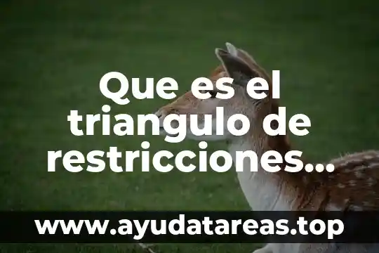 Que es el triangulo de restricciones de un proyecto