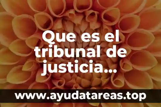 Qué es la justicia y su significado 7 Que es el tribunal de justicia administrativa en puebla capital