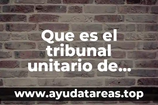 Qué es concepto de guía 7 Que es el tribunal unitario de circuito y sus funciones