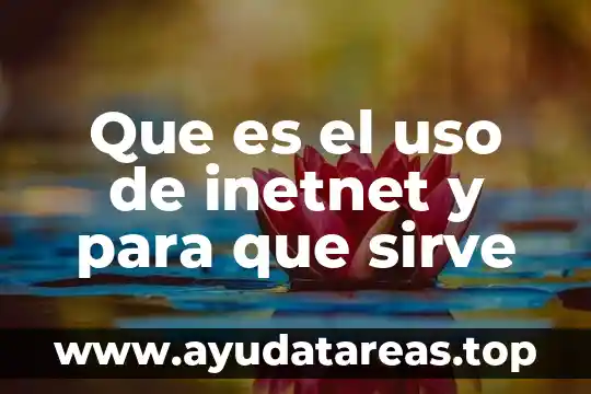Que es el uso de inetnet y para que sirve