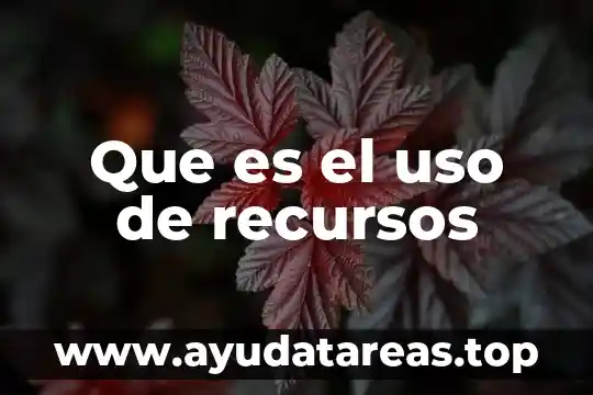 Agua de uso recreativo que es 4 Que es el uso de recursos