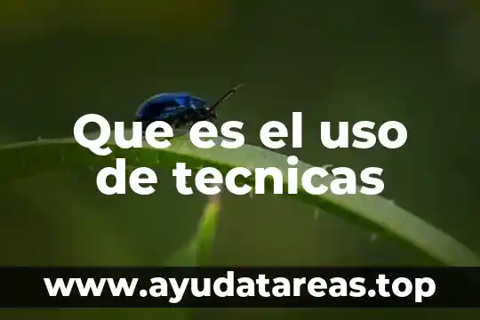 Que es el uso de tecnicas