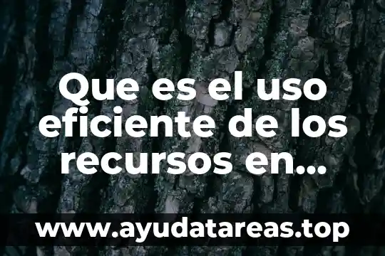 Que es el uso eficiente de los recursos en economia