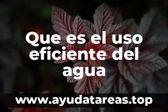 Que es el uso eficiente del agua