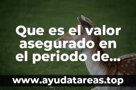 Qué es un periodo de muestreo de una señal 3 Que es el valor asegurado en el periodo de devolucion