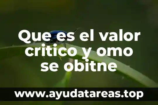 Que es la investigacion experimental en pensamiento critico 8 Que es el valor critico y omo se obitne