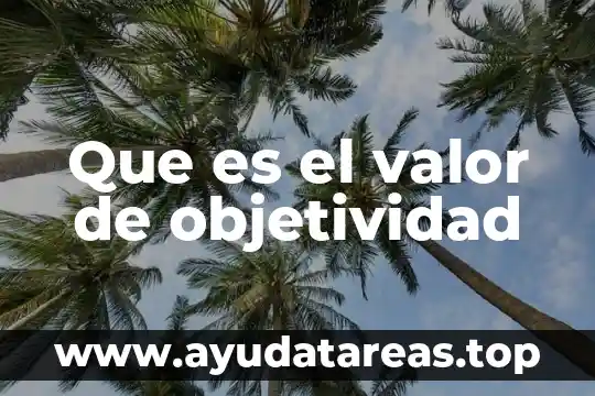Que es objetividad racionalidad y sistematicidad 5 Que es el valor de objetividad