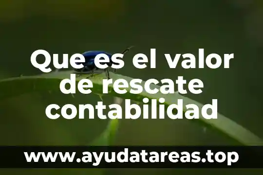 Que es un asiento compuesto en contabilidad 6 Que es el valor de rescate contabilidad