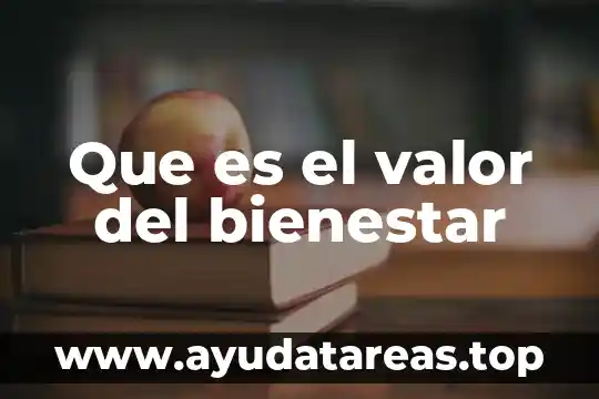 Que es belleza color y bienestar en las culturas 3 Que es el valor del bienestar