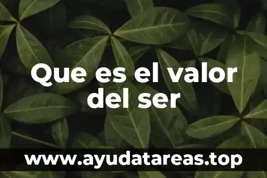 Que es ser linaje 7 Que es el valor del ser