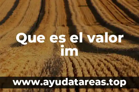 Que es la im en mexico 3 Que es el valor im