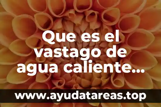Que es la linea caliente cocina 4 Que es el vastago de agua caliente regadera