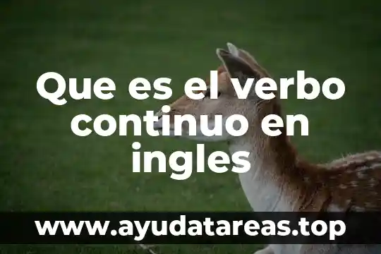 Que es el muestreo continuo intermitente errática quimica 8 Que es el verbo continuo en ingles