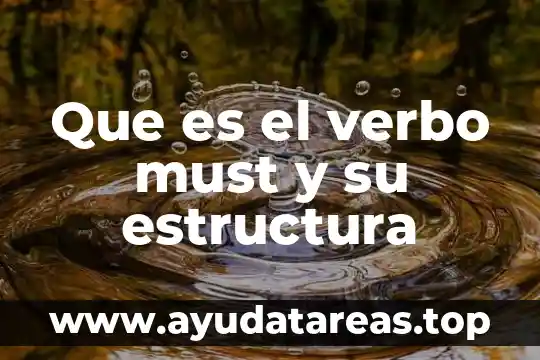 Que es el verbo would estructura 8 Que es el verbo must y su estructura