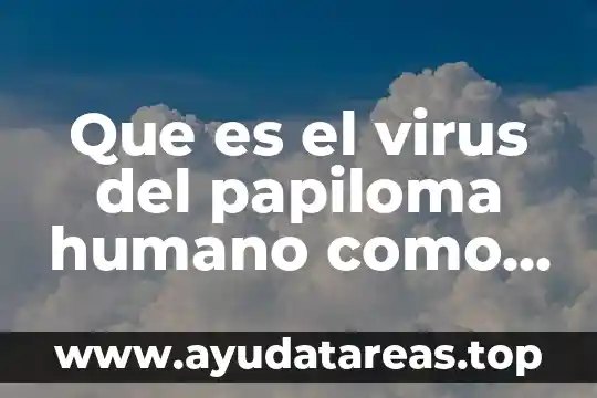 Qué es el papiloma humano brainly 4 Que es el virus del papiloma humano como se cura